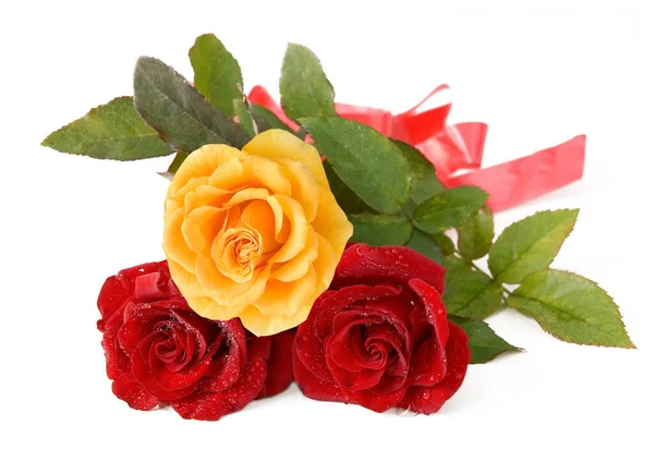 Beautiful Roses Bunch Isolated White Background — Stock Photo, Image