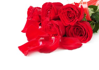 Beyaz arka planda izole güzel güller