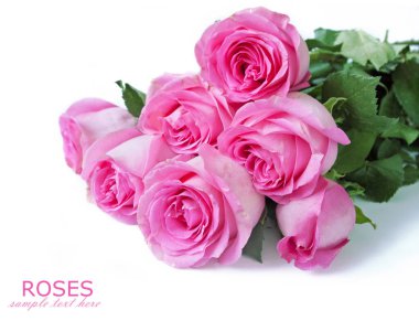 Beyaz arka planda izole güzel güller