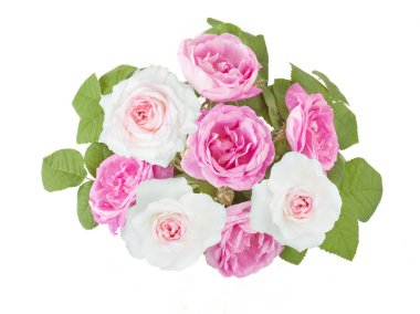 Beyaz arka planda izole güzel güller