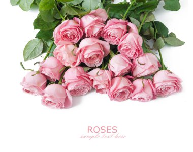 Beyaz arka planda izole güzel güller