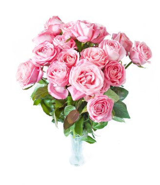 Beyaz arka planda izole güzel güller