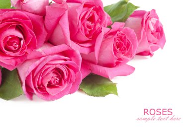 Beyaz arka planda izole güzel güller