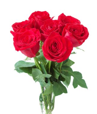 Beyaz arka planda izole güzel güller