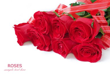 Beyaz arka planda izole güzel güller