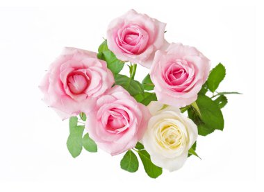 Beyaz arka planda izole güzel güller