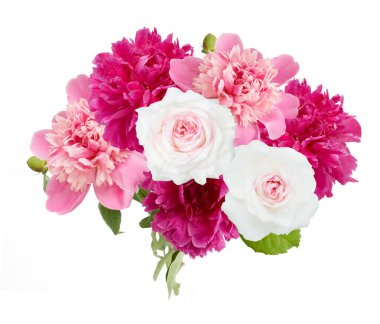 Beyaz arka planda izole güzel güller