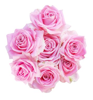 Beyaz arka planda izole güzel güller