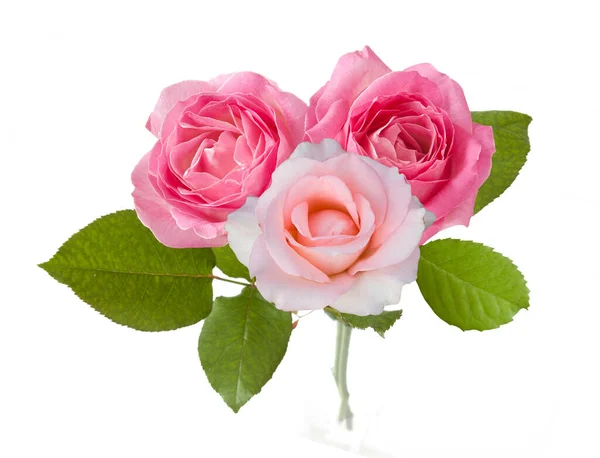 Beautiful Roses Bunch Isolated White Background — Stock Photo, Image