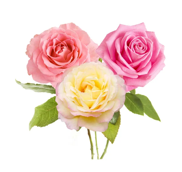 Beau Bouquet Roses Isolé Sur Fond Blanc — Photo