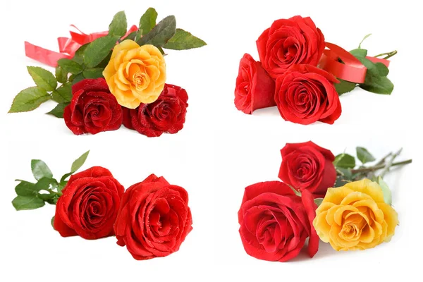 Schöne Rosen Haufen Auf Weißem Hintergrund — Stockfoto