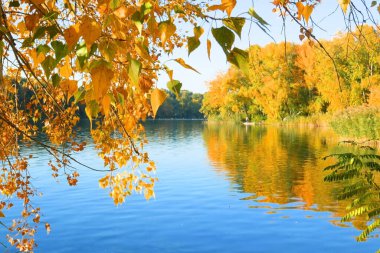 Sarı, kırmızı ve yeşil sonbahar ormanı, nehir ve mavi gökyüzü. Sonbahar yansımaları.