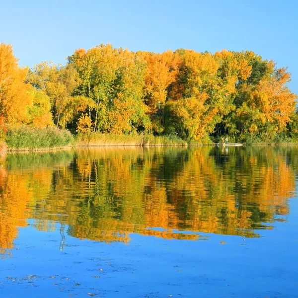 Sarı, kırmızı ve yeşil sonbahar ormanı, nehir ve mavi gökyüzü. Sonbahar yansımaları.