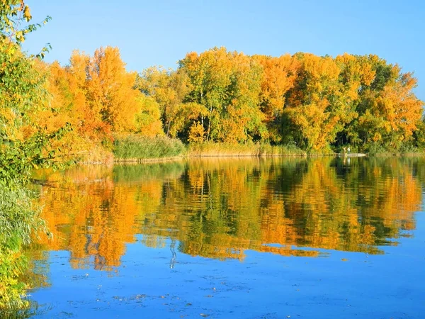 Sarı, kırmızı ve yeşil sonbahar ormanı, nehir ve mavi gökyüzü. Sonbahar yansımaları.