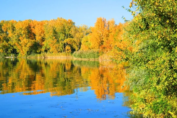 Sarı, kırmızı ve yeşil sonbahar ormanı, nehir ve mavi gökyüzü. Sonbahar yansımaları.