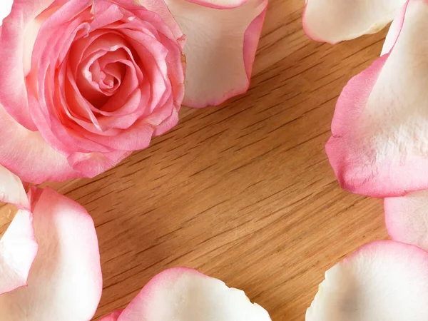 Růžová Růže Okvětními Lístky Dřevěném Pozadí — Stock fotografie