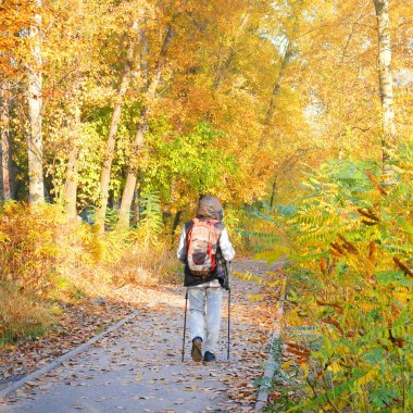 Sırt çantalı bir adam sonbahar ormanında yürüyor. Orman yollarında tek başına yürümek..