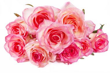 Güzel pembe güller beyaz demet izole