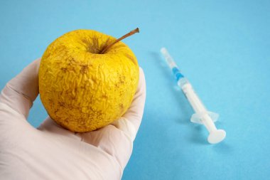 Elma, genetik mühendisliği laboratuvarında mavi arka planda şırınga ve test tüpleriyle, GMO Gıda 