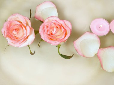 Pembe gül, mumlar ve kabın içinde yüzen taç yaprağı suyu.