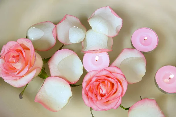 Pink Rose Candles Petal Floating Water Bowl — Stock Photo, Image