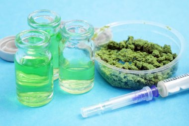 Kenevir yağı ve marihuana bitkisi mavi arka planda bitkiler. Esrar kozmetik konsepti, yakın plan