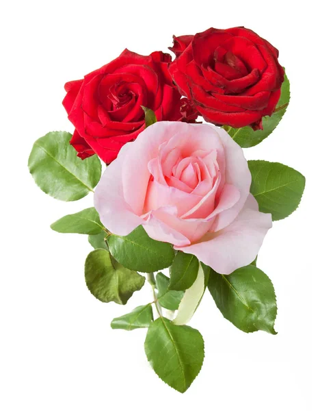 Beau Bouquet Roses Isolé Sur Fond Blanc Gros Plan — Photo