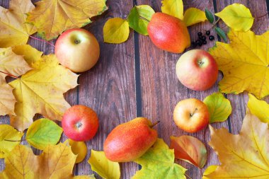 Ahşap arka planda sonbahar yapraklı grup armutları, yakın plan, üst manzara, sonbahar hasat konsepti