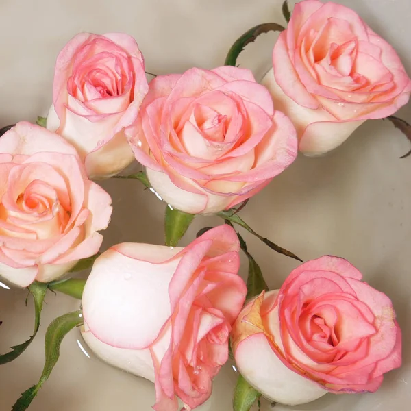 粉色玫瑰 蜡烛和花瓣漂浮在碗里 放松手水疗 特写镜头 — 图库照片