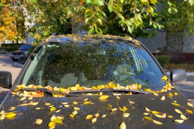 Sonbahar yapraklarıyla birlikte araba silici, yakın çekim, trtrason ve sonbahar havası. 