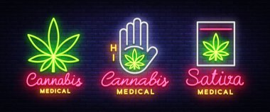 Marihuana tıbbi koleksiyonu neon tabela ve logosu, modern trend tarzı grafik şablonu. Tıbbi sativa, esrar bir organik kenevir var. Yeşil çiftlik vektör çizim