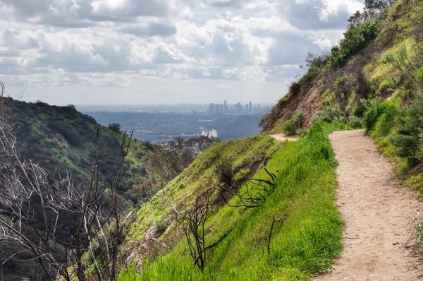Vandrings Led Utsikt Till Downtown Los Angeles Från Verdugo Mountains — Stockfoto