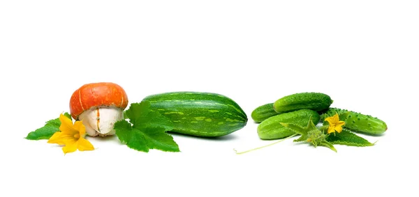 Pumpkin Cucumbers White Background Horizontal Photo — Stock Photo, Image