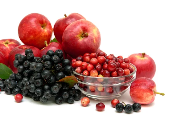 Preiselbeere, rote Äpfel und Preiselbeeren auf weißem Hintergrund — Stockfoto