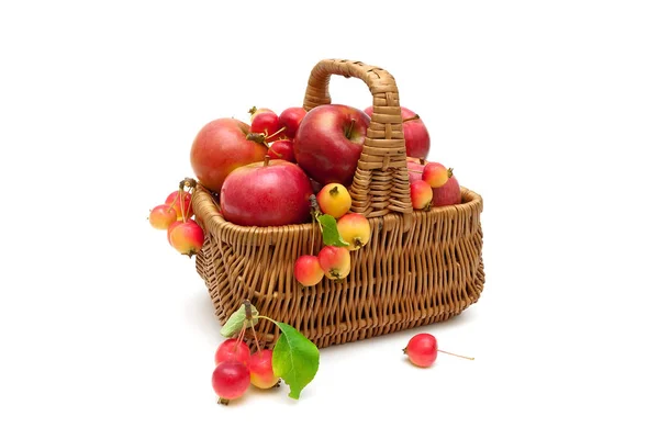 Basket with apples on a white background — Stock Photo, Image