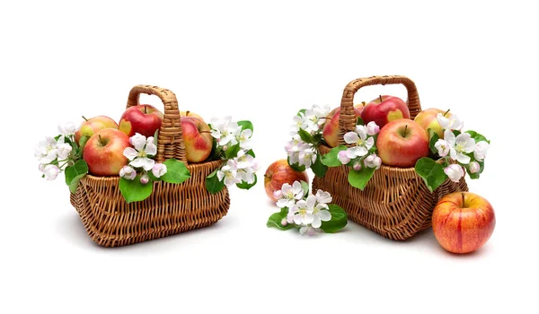 Pommes et fleurs de pommier dans un panier sur fond blanc — Photo