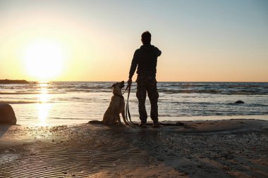 gün batımında sahilde bekleyen bir köpek olan bir adam