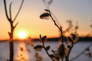 Gün batımında Finlandiya Körfezi