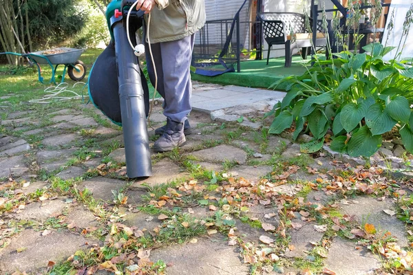 A woman cleans the leaves with a vacuum cleaner — Stock Photo, Image