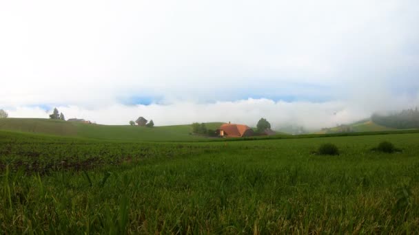 Time Lapse Durante Primavera Tempo Frio Fresco Estão Explorando Floresta — Vídeo de Stock