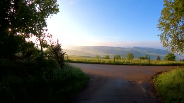 Yüksek Ağaçları Sviçre Yeşil Yaprakları Ile Parlayan Forest Sunlight Bahar — Stok video