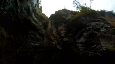 Forest.a çiçek alan, St. Moritz, Engadine Vadisi, İsviçre bahar döneminde hava serin ve temiz hava keşfetmek