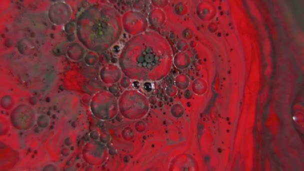 Разноцветные Жидкости Движении Абстрактная Красочная Краска — стоковое видео