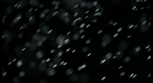 Beyaz Nowflakes Siyah Bir Arka Plan Üzerinde Havada Yüzer Şlenen — Stok video