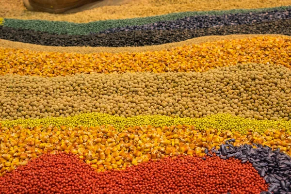 Assortment Colorful Grains Cereals Forming Beautiful Decorative Background — Stock Photo, Image