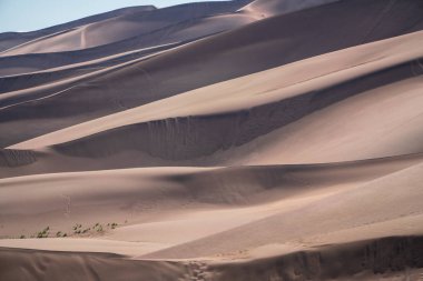 Büyük kum tepeleri Milli Park Colorado'da