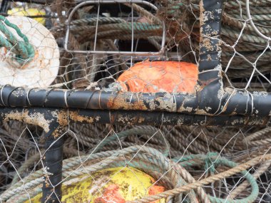 West Coast Yengeç Tuzakları yakın detay 