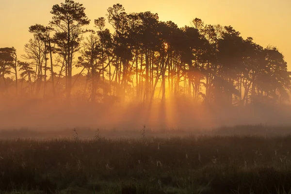 Nascer do sol obscuro da manhã do verão — Fotografia de Stock