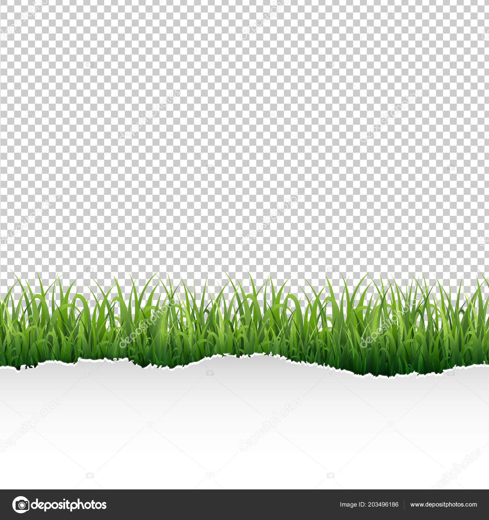 Цвет grass это какой цвет Цвет grass это какой цвет