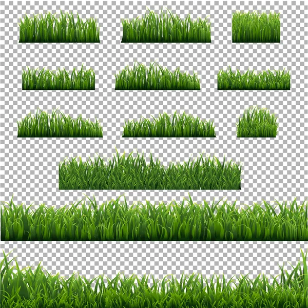 Big Set Green Grass Borders Transparent Background Gradient Mesh Vector — Stock Vector
